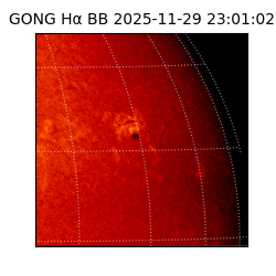 gong - 2025-11-29T23:01:02