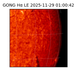 gong - 2025-11-29T01:00:42