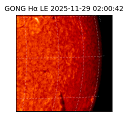 gong - 2025-11-29T02:00:42