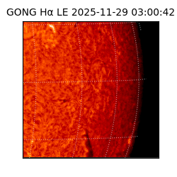 gong - 2025-11-29T03:00:42