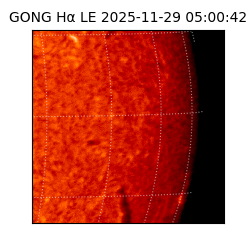 gong - 2025-11-29T05:00:42