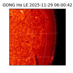gong - 2025-11-29T06:00:42