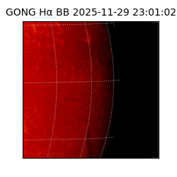 gong - 2025-11-29T23:01:02