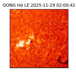 gong - 2025-11-29T02:00:42