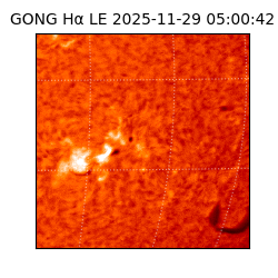 gong - 2025-11-29T05:00:42