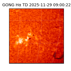 gong - 2025-11-29T09:00:22