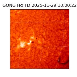 gong - 2025-11-29T10:00:22