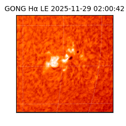 gong - 2025-11-29T02:00:42