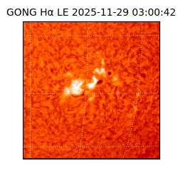 gong - 2025-11-29T03:00:42