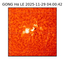 gong - 2025-11-29T04:00:42