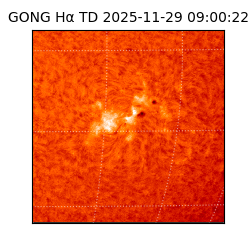 gong - 2025-11-29T09:00:22