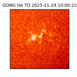 gong - 2025-11-29T10:00:22