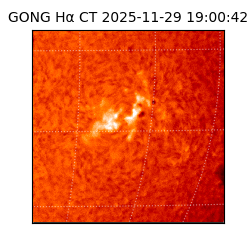 gong - 2025-11-29T19:00:42