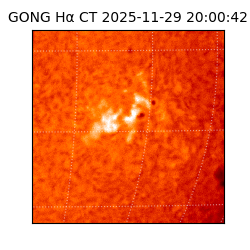 gong - 2025-11-29T20:00:42