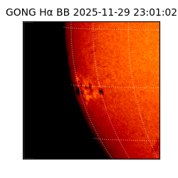 gong - 2025-11-29T23:01:02