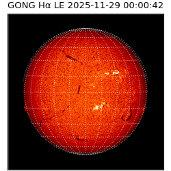 gong - 2025-11-29T00:00:42