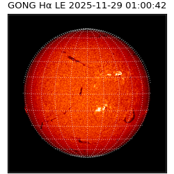 gong - 2025-11-29T01:00:42