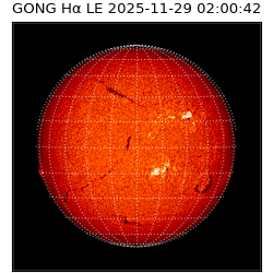 gong - 2025-11-29T02:00:42