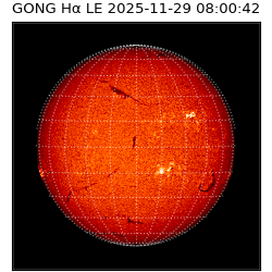 gong - 2025-11-29T08:00:42