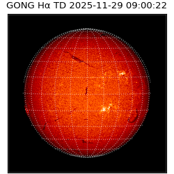 gong - 2025-11-29T09:00:22