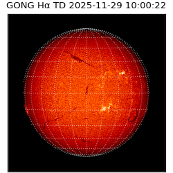 gong - 2025-11-29T10:00:22