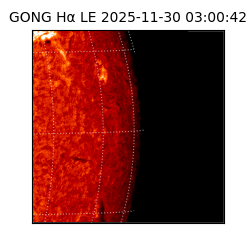 gong - 2025-11-30T03:00:42