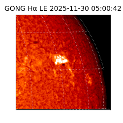 gong - 2025-11-30T05:00:42