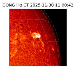 gong - 2025-11-30T11:00:42