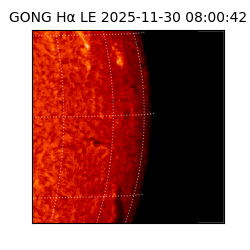 gong - 2025-11-30T08:00:42
