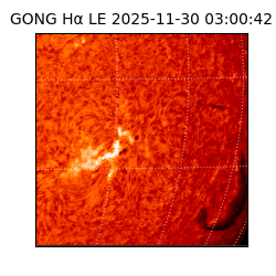 gong - 2025-11-30T03:00:42