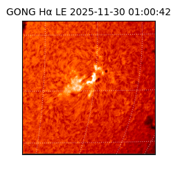 gong - 2025-11-30T01:00:42