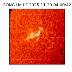 gong - 2025-11-30T04:00:42