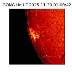 gong - 2025-11-30T01:00:42