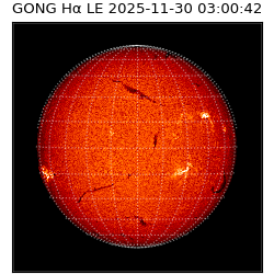 gong - 2025-11-30T03:00:42