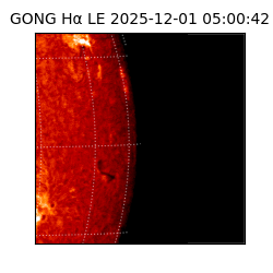 gong - 2025-12-01T05:00:42