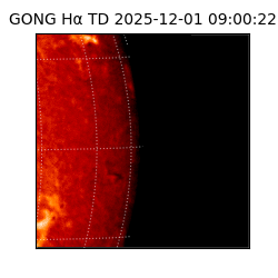 gong - 2025-12-01T09:00:22