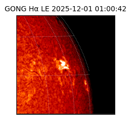 gong - 2025-12-01T01:00:42