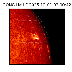 gong - 2025-12-01T03:00:42