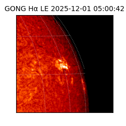 gong - 2025-12-01T05:00:42