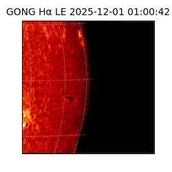 gong - 2025-12-01T01:00:42
