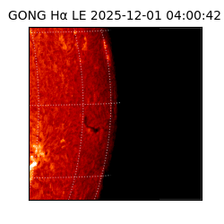 gong - 2025-12-01T04:00:42
