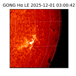 gong - 2025-12-01T03:00:42