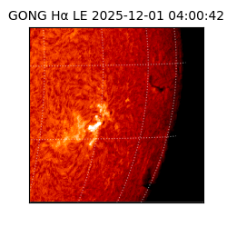 gong - 2025-12-01T04:00:42
