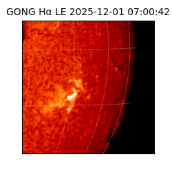 gong - 2025-12-01T07:00:42