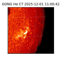 gong - 2025-12-01T11:00:42