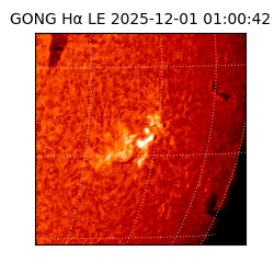gong - 2025-12-01T01:00:42