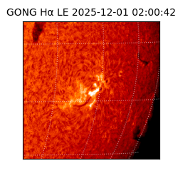 gong - 2025-12-01T02:00:42