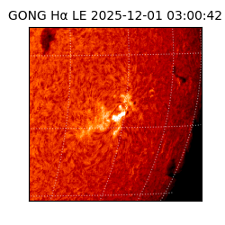 gong - 2025-12-01T03:00:42