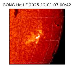 gong - 2025-12-01T07:00:42