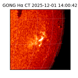 gong - 2025-12-01T14:00:42